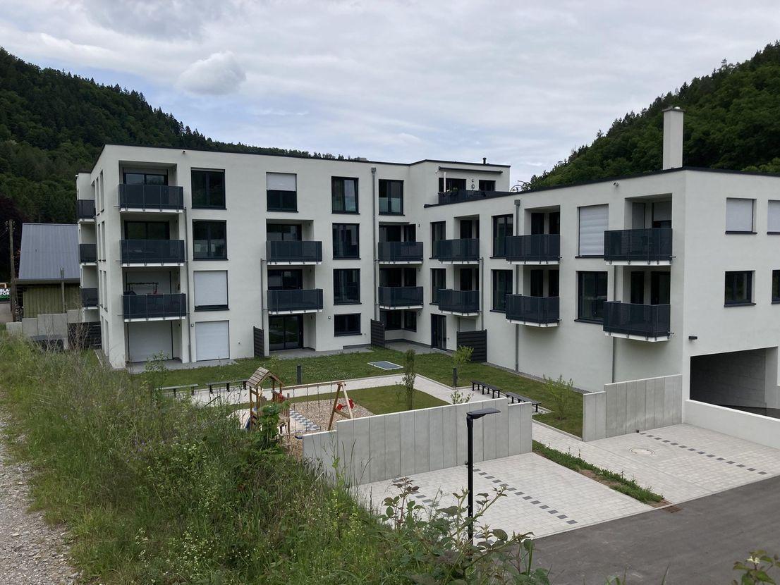 Calw
